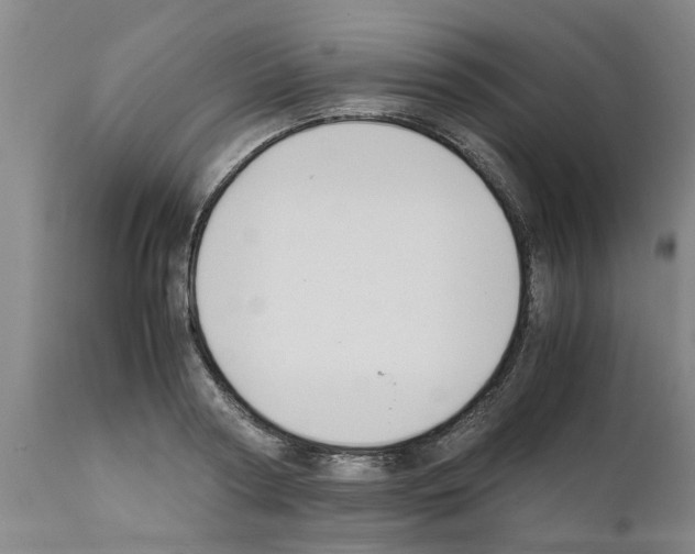 X0000111530794200908251201