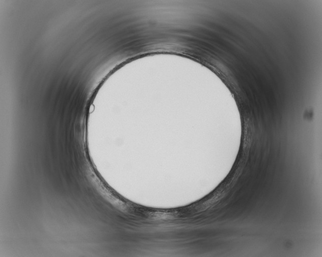 X0000111530796200908251201