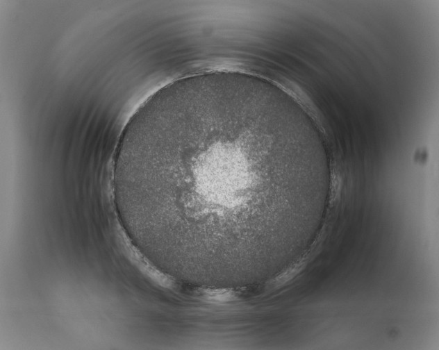 X0000111530798200908251201