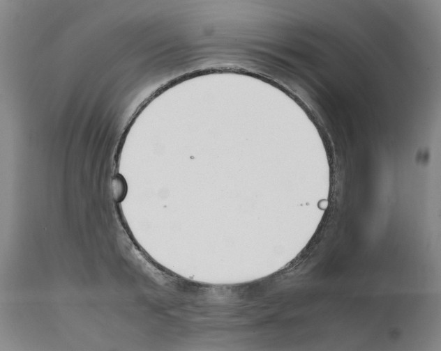 X0000111530799200908251201