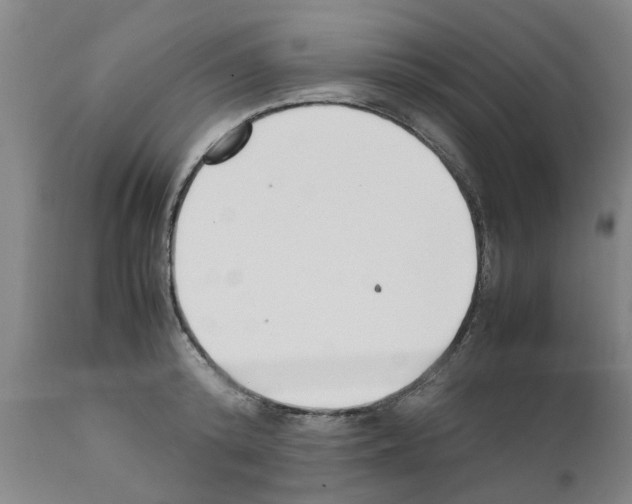 X0000111530800200908251201