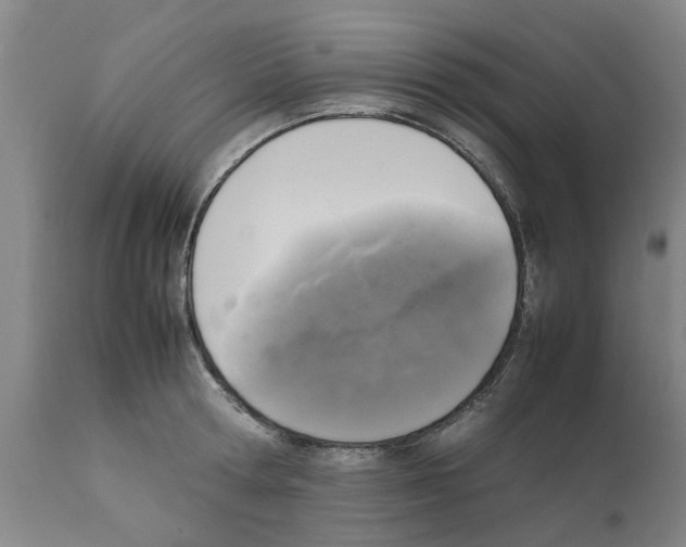 X0000111530802200908251201