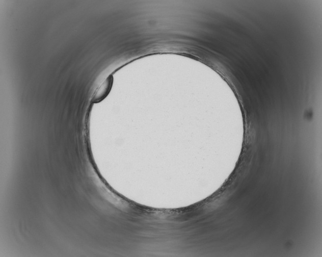 X0000111530803200908251201