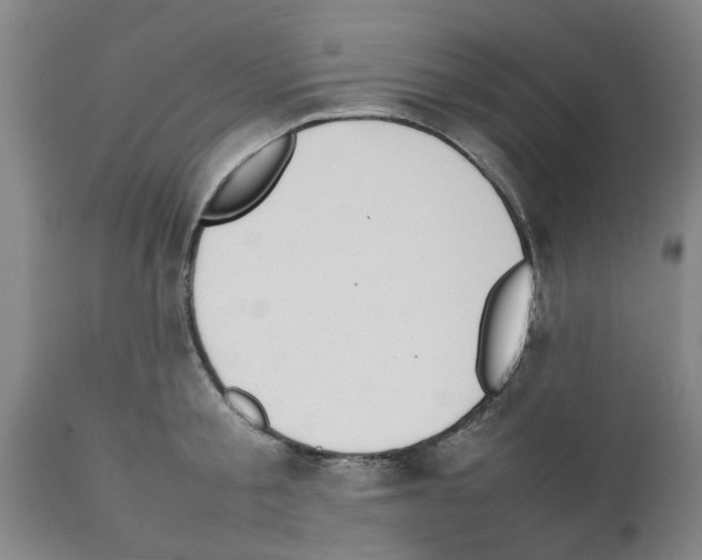 X0000111530805200908251201