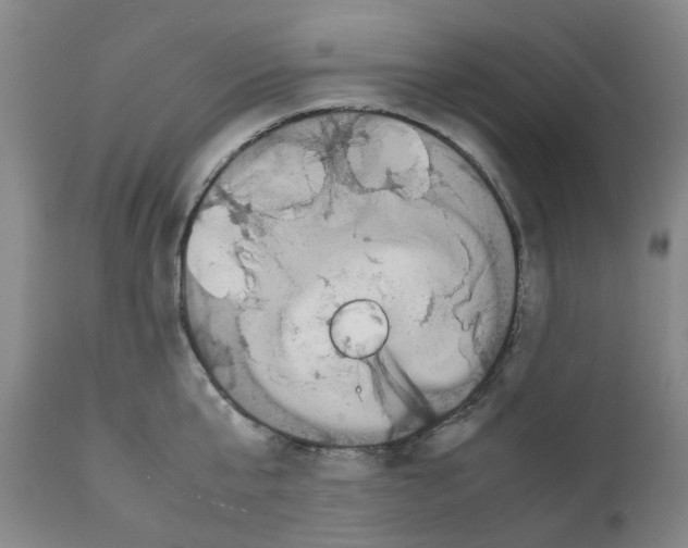 X0000111530807200908251201