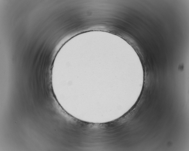 X0000111530808200908251201