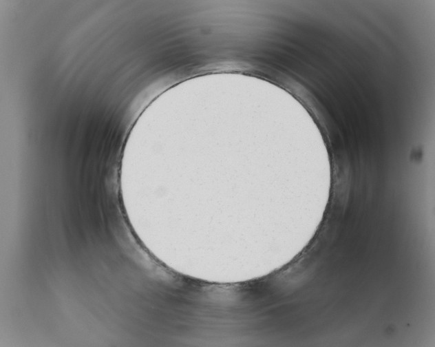 X0000111530810200908251200