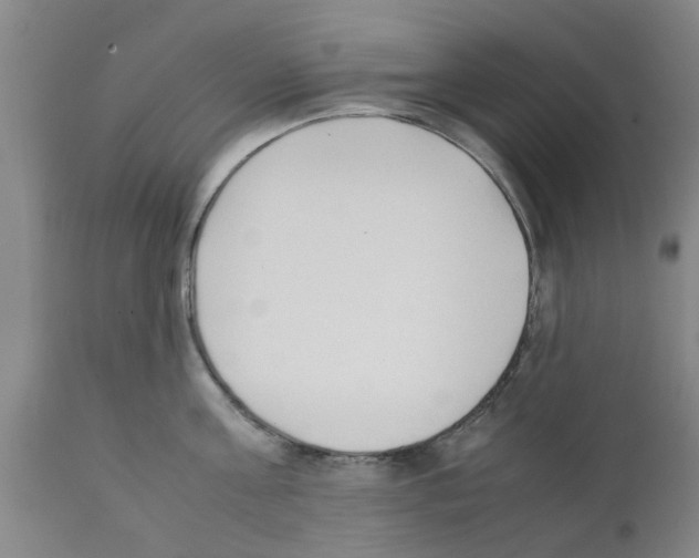 X0000111530811200908251200