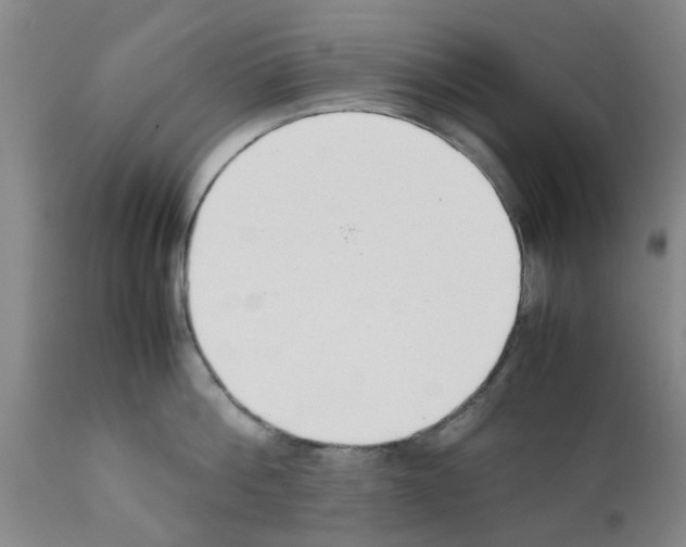 X0000111530812200908251200