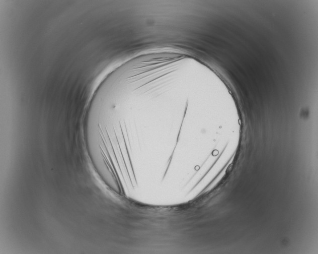 X0000111530813200908251200