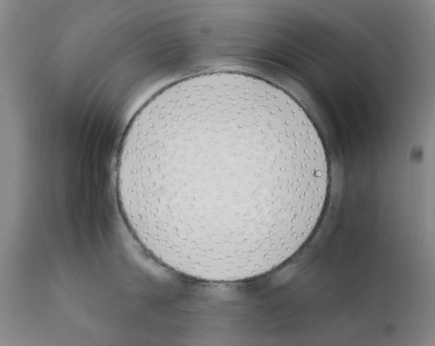 X0000111530814200908251200