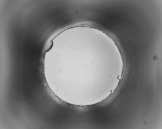 X0000111530816200908251200