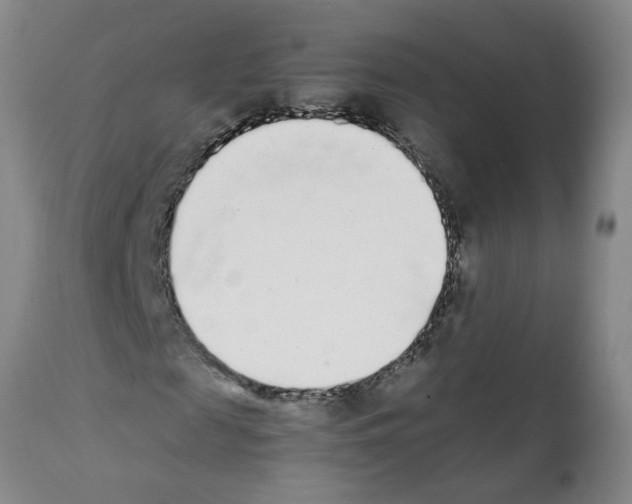 X0000111530817200908251159