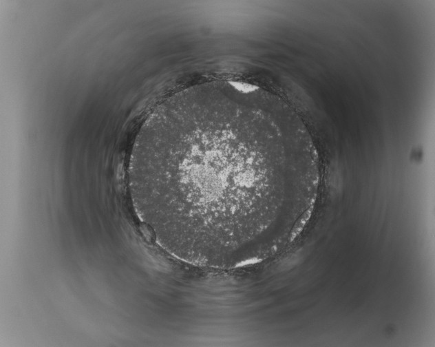 X0000111530818200908251200