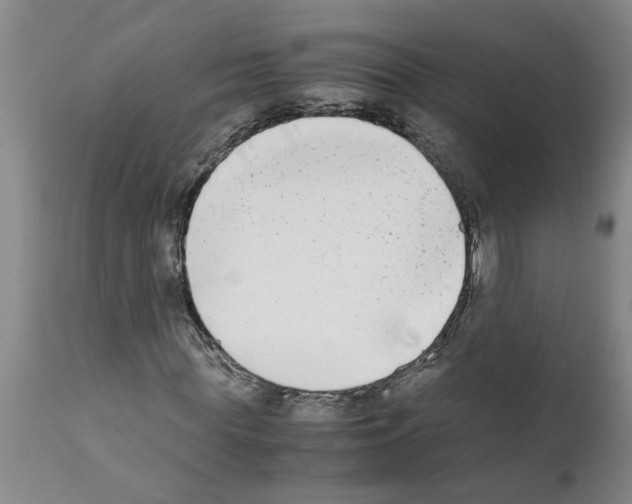 X0000111530819200908251200