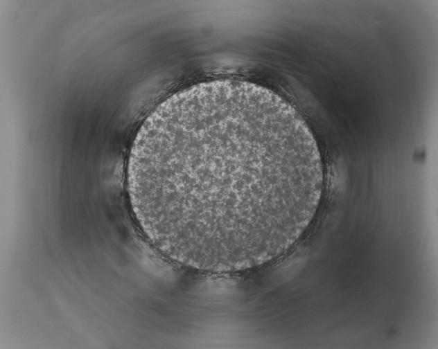 X0000111530820200908251200