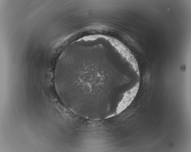 X0000111530822200908251200