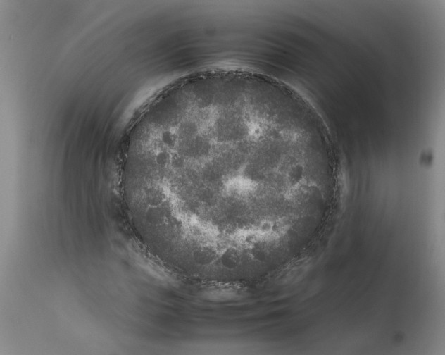 X0000111530823200908251200