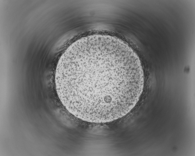 X0000111530824200908251200