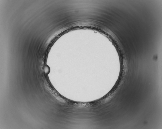 X0000111530826200908251200