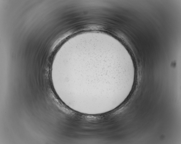 X0000111530827200908251200