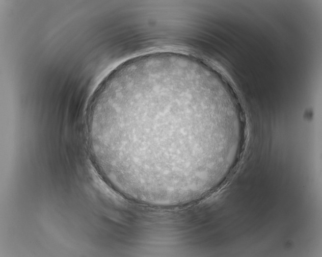 X0000111530828200908251200