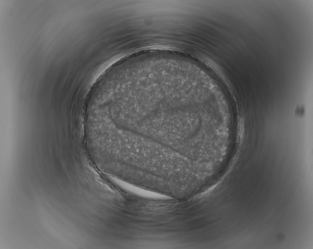 X0000111530829200908251200