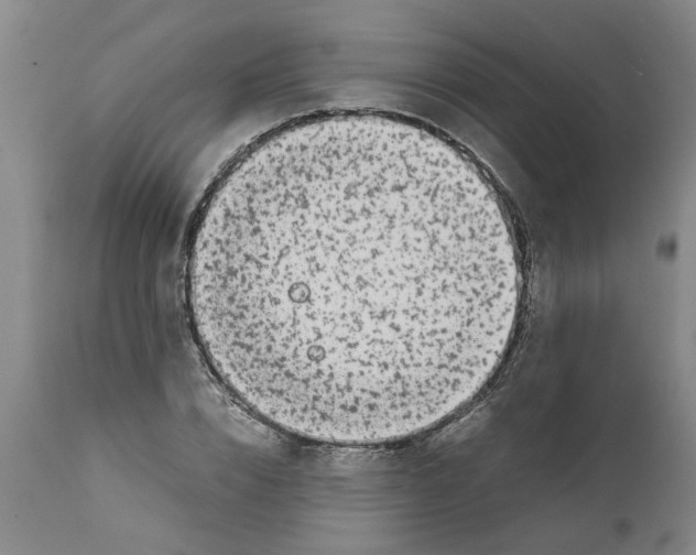 X0000111530832200908251200