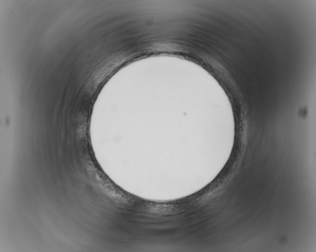 X0000111530833200908251200