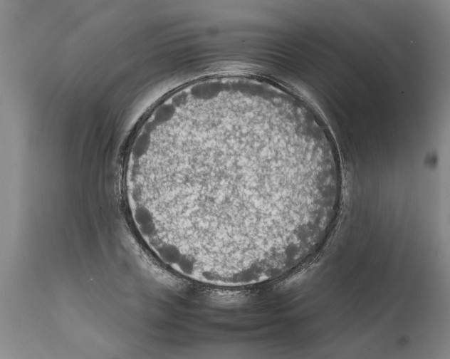 X0000111530835200908251200