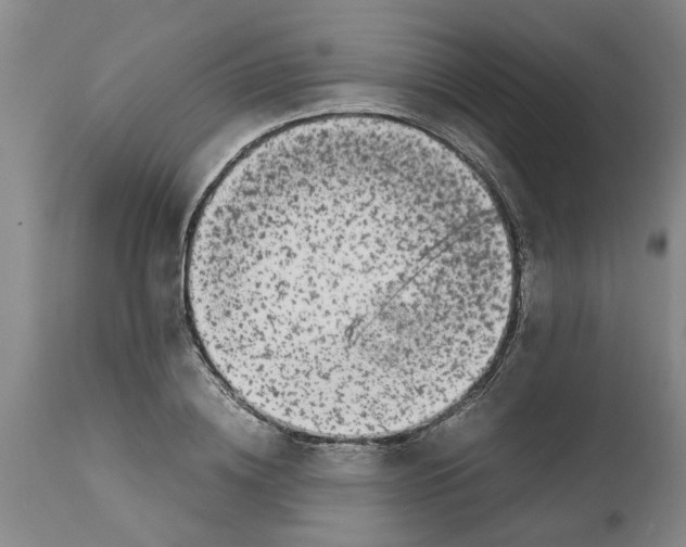 X0000111530836200908251200