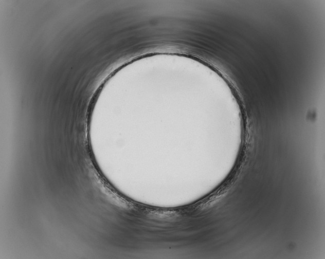 X0000111530837200908251200