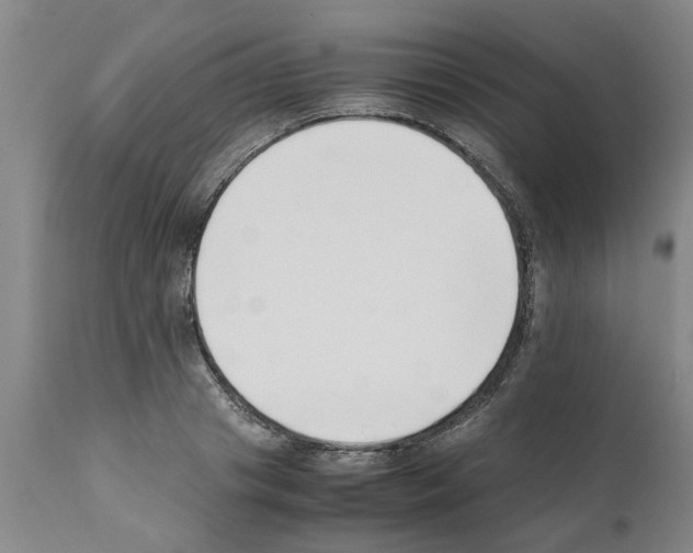 X0000111530841200908251200