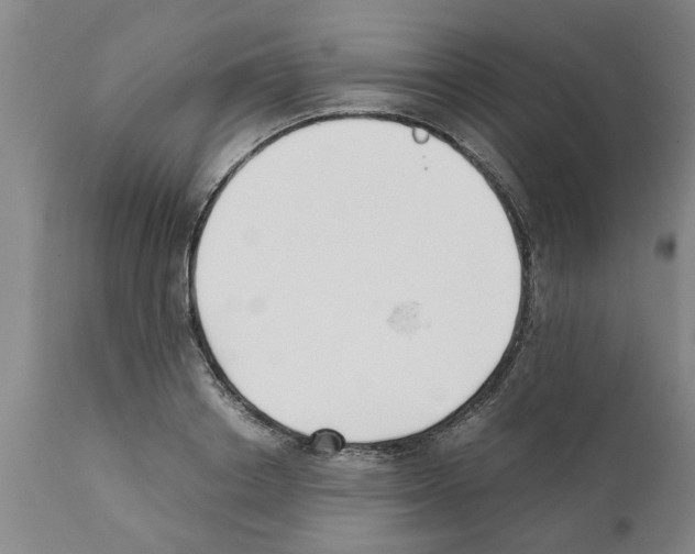 X0000111530842200908251200