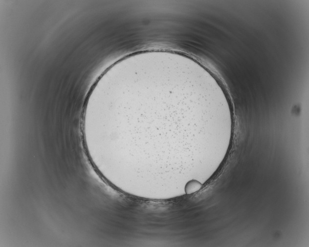 X0000111530847200908251200