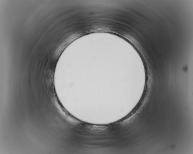 X0000111530849200908251200