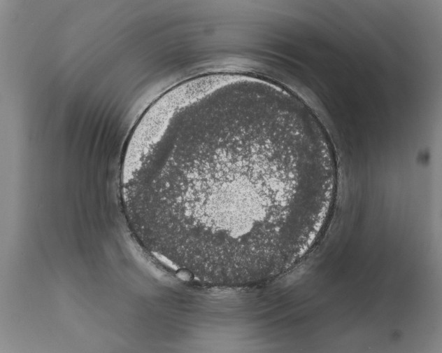 X0000111530850200908251200