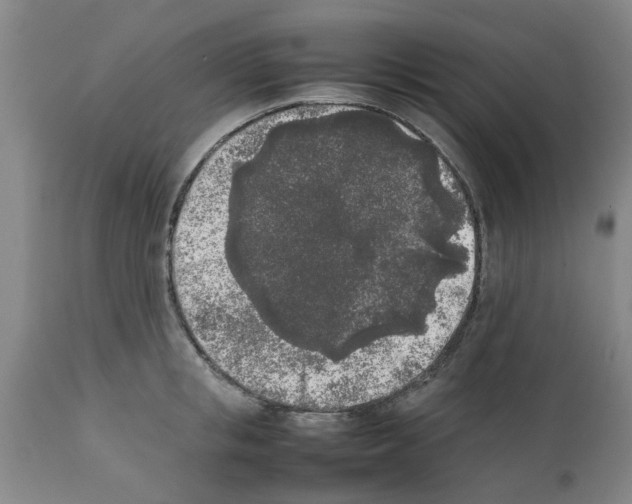 X0000111530853200908251200