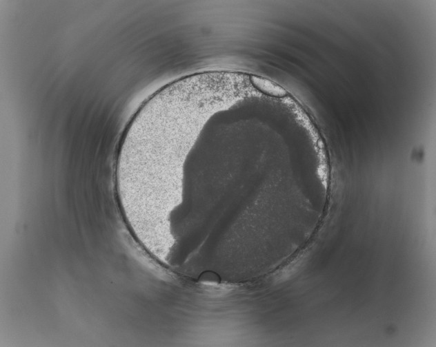 X0000111530854200908251200