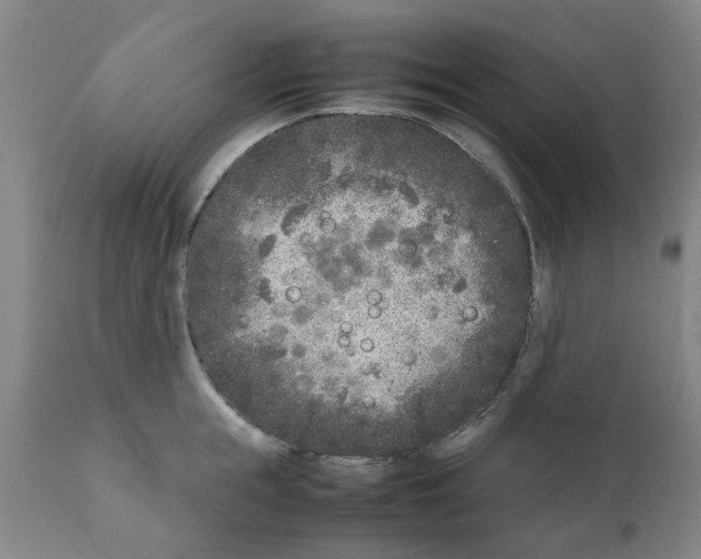 X0000111530855200908251200