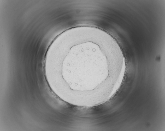 X0000111530856200908251200