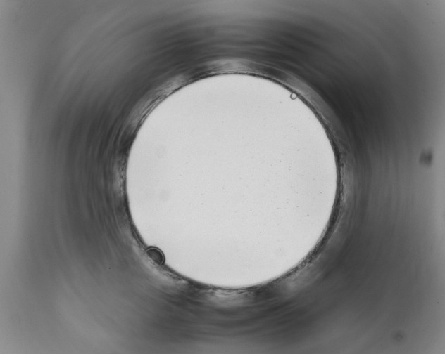 X0000111530857200908251200