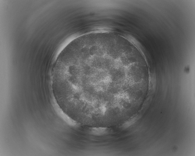 X0000111530859200908251200