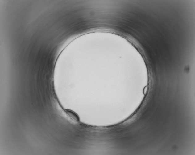 X0000111530860200908251200