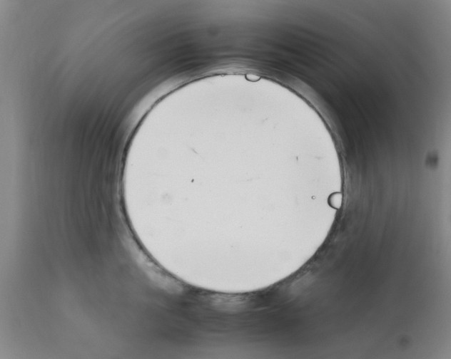 X0000111530861200908251200