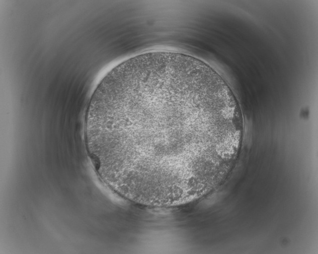 X0000111530862200908251200