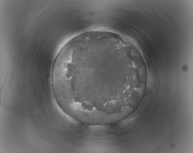 X0000111530863200908251200