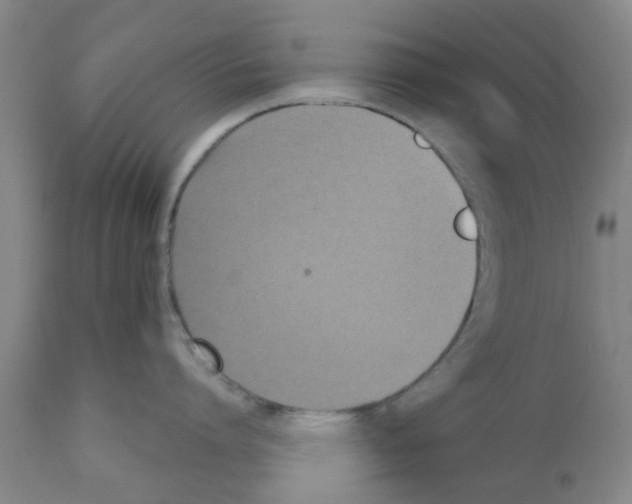 X0000111530864200908251200