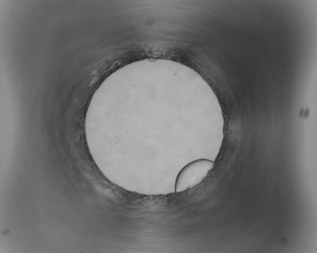 X0000111530865200908251159