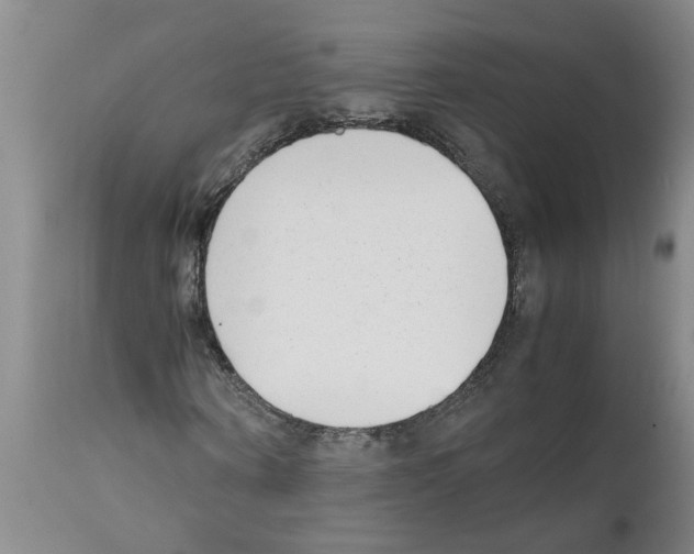 X0000111530866200908251159